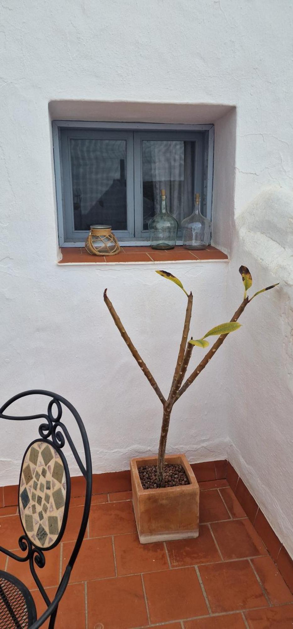 La Casa De Abuela: Adult-Only Historic Frigiliana Guesthouse Exterior photo