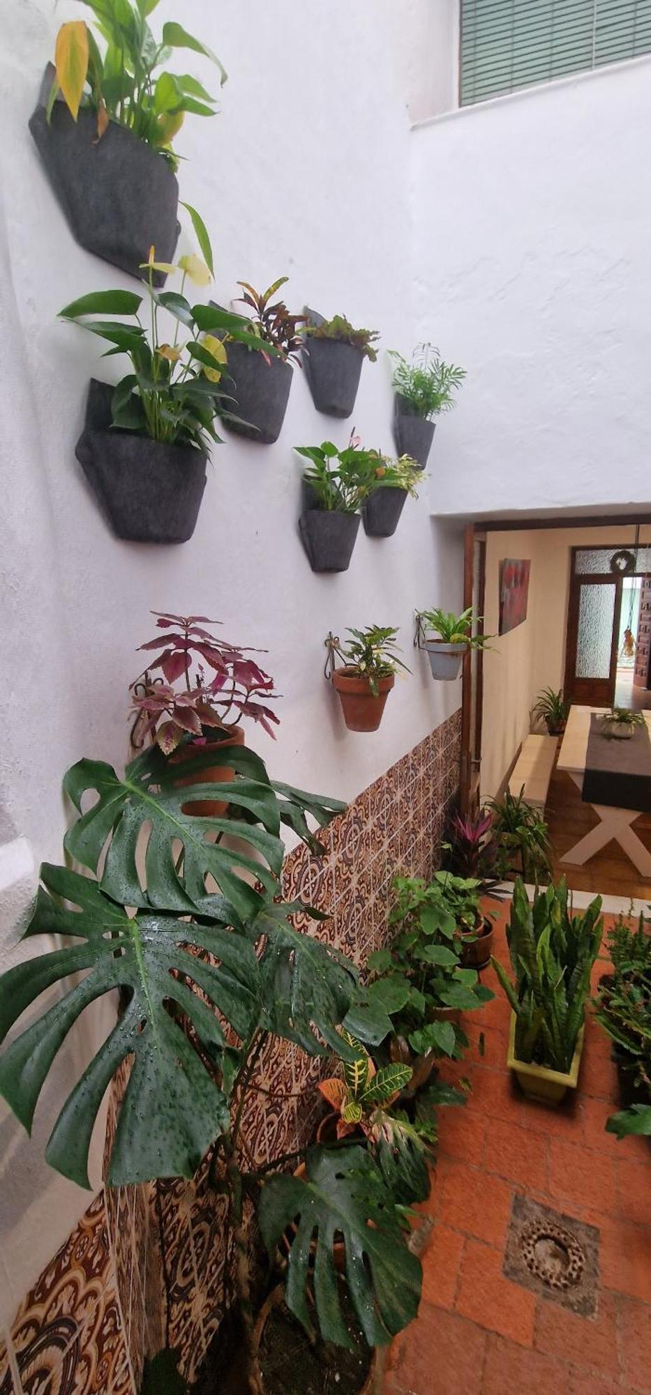La Casa De Abuela: Adult-Only Historic Frigiliana Guesthouse Exterior photo